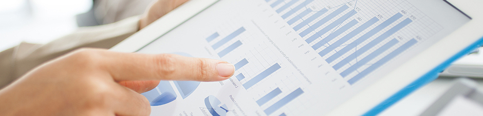 Software Banner